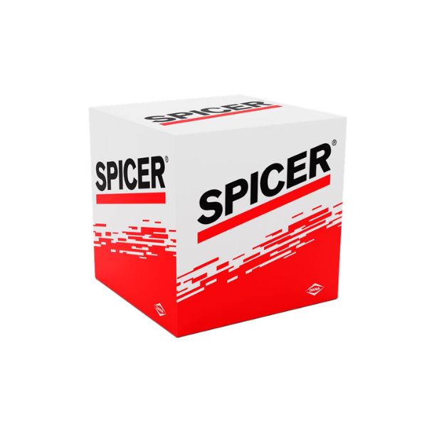 Cruzeta Spicer 10165194
